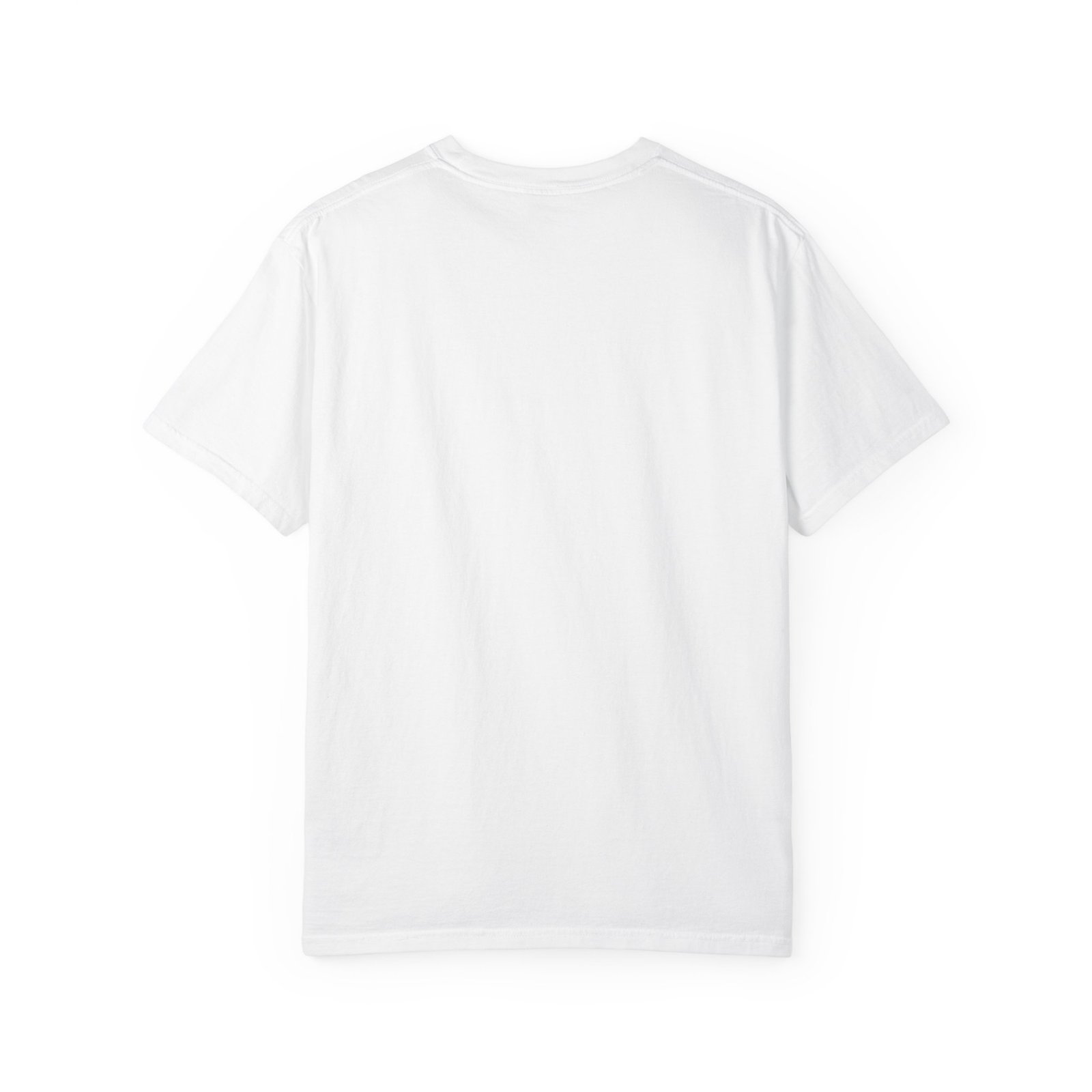15785219898764738269_2048-1.jpeg Unisex Garment-Dyed T-shirt - Image 2